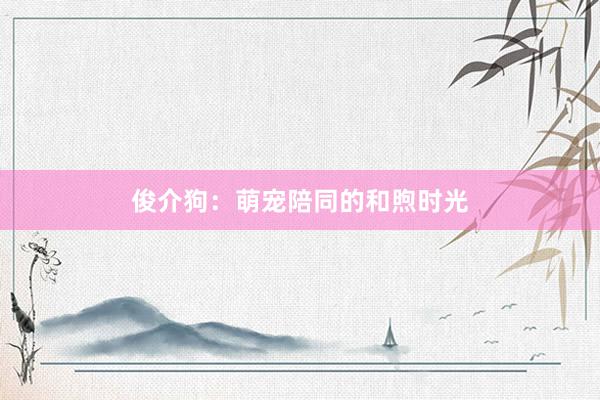 俊介狗：萌宠陪同的和煦时光